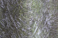 Winskill fibreglass roof work